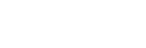 격투가